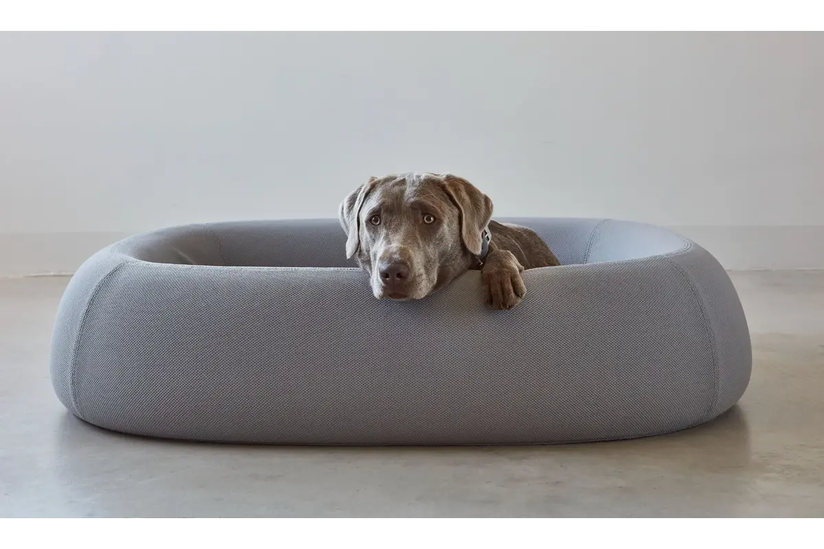 Cane Barca, Hundebett, Schiefer