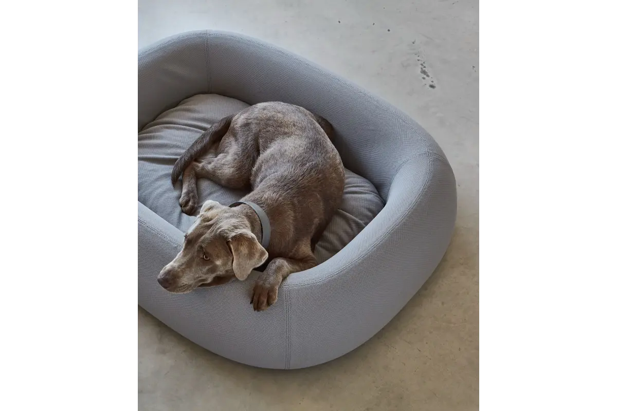 Cane Barca, Hundebett, Schiefer