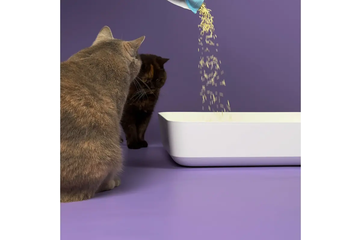 Tofu Kattenbakvulling 7L