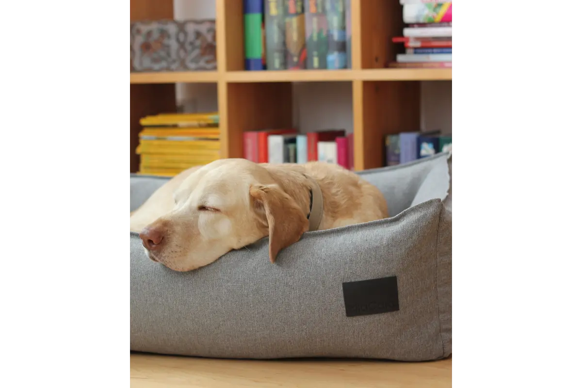 Cane Nube, Hundebett, Salz & Peffer
