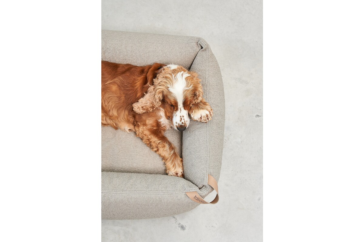 Cane Mondo, Dog Bed, Cappuccino