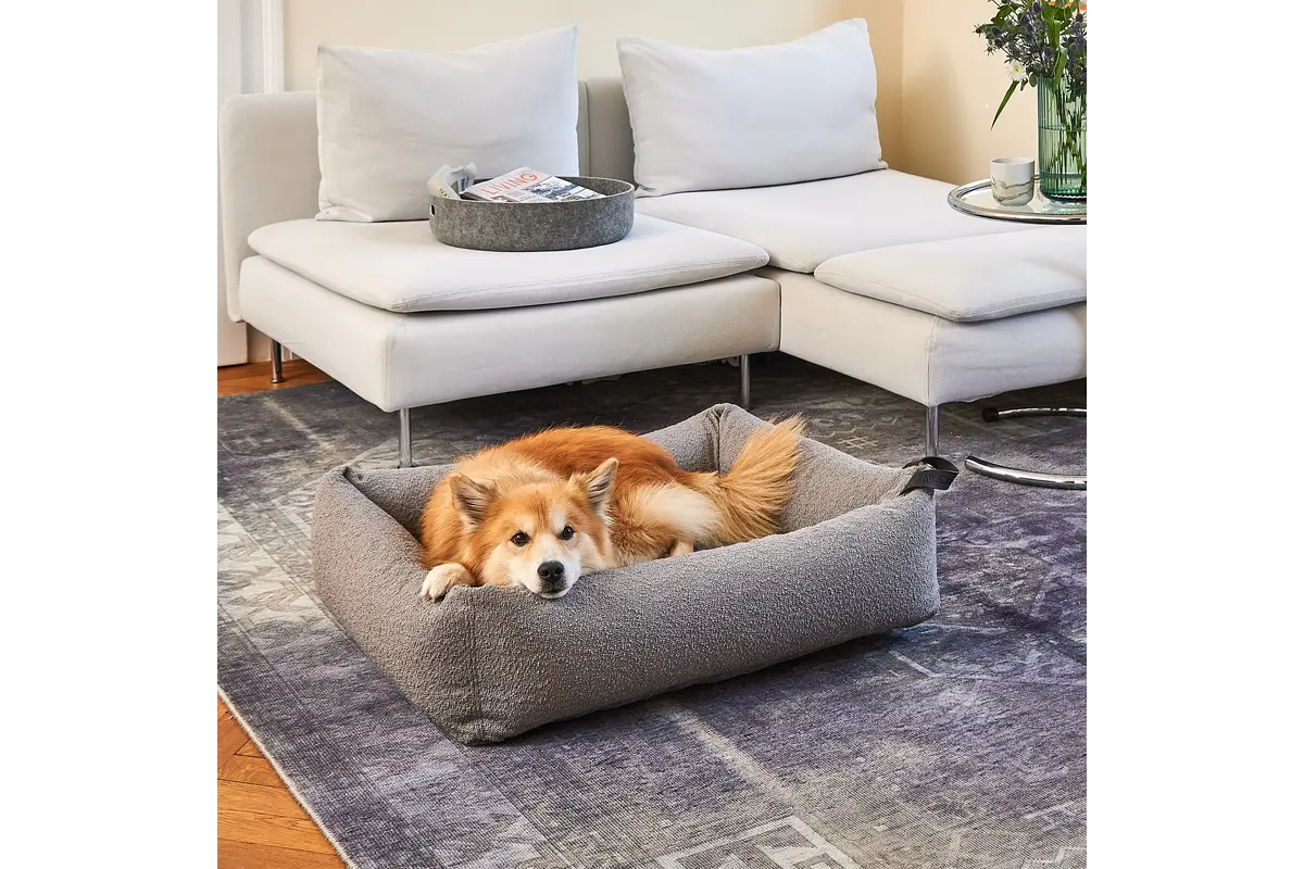Cane Mondo, Hundebett, Stein