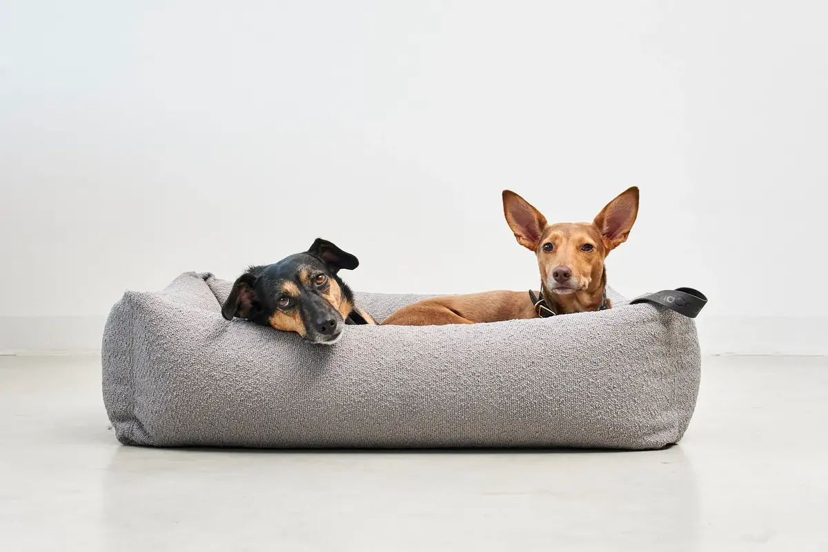 Cane Mondo, Hundebett, Stein