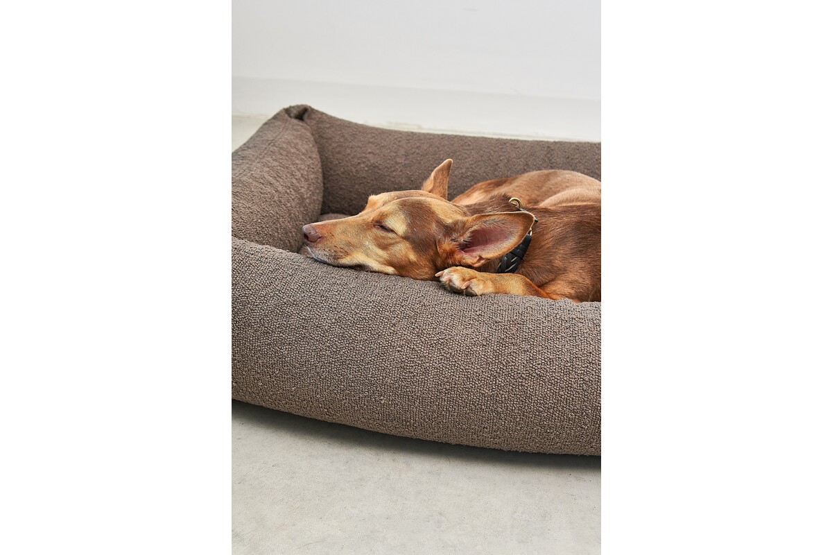 Cane Mondo, Hondenbed, Chocolade