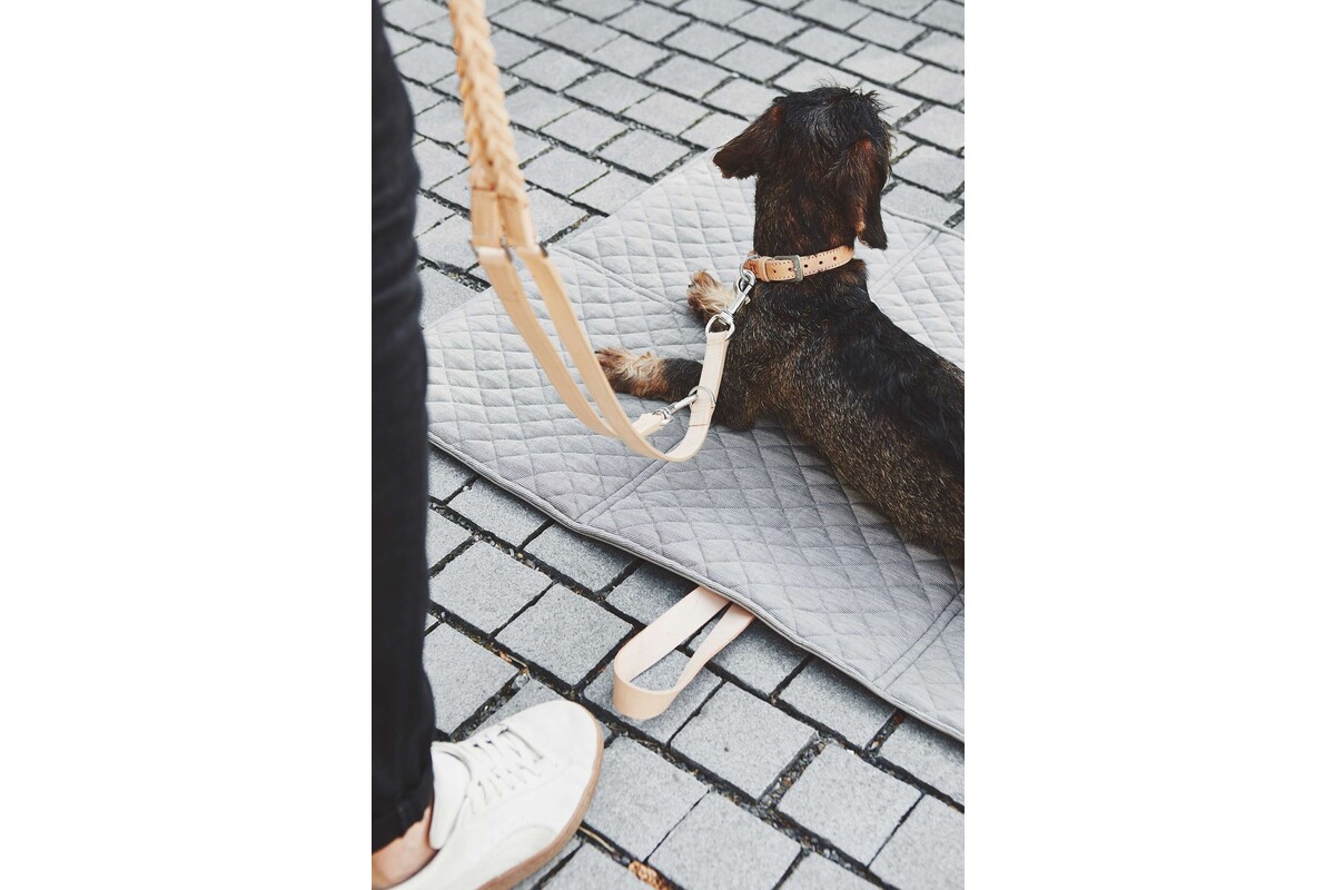 Cane Bergamo Leiband, Hondenriem Gevlochten Leder Natuurlijk