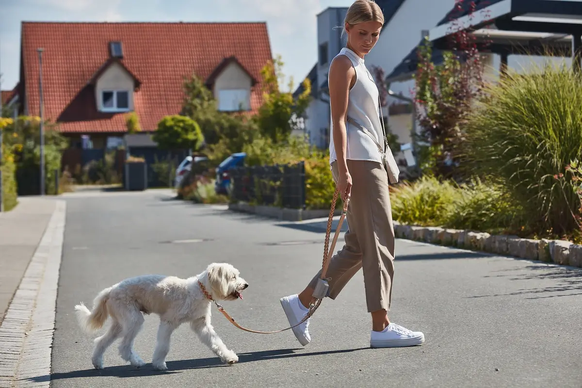 Cane Bergamo Führleine, Hundeleine aus geflochtenem Leder Natur