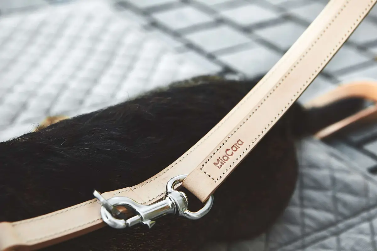 Cane Bergamo long lead, Dog Lead Smooth Leather Natural