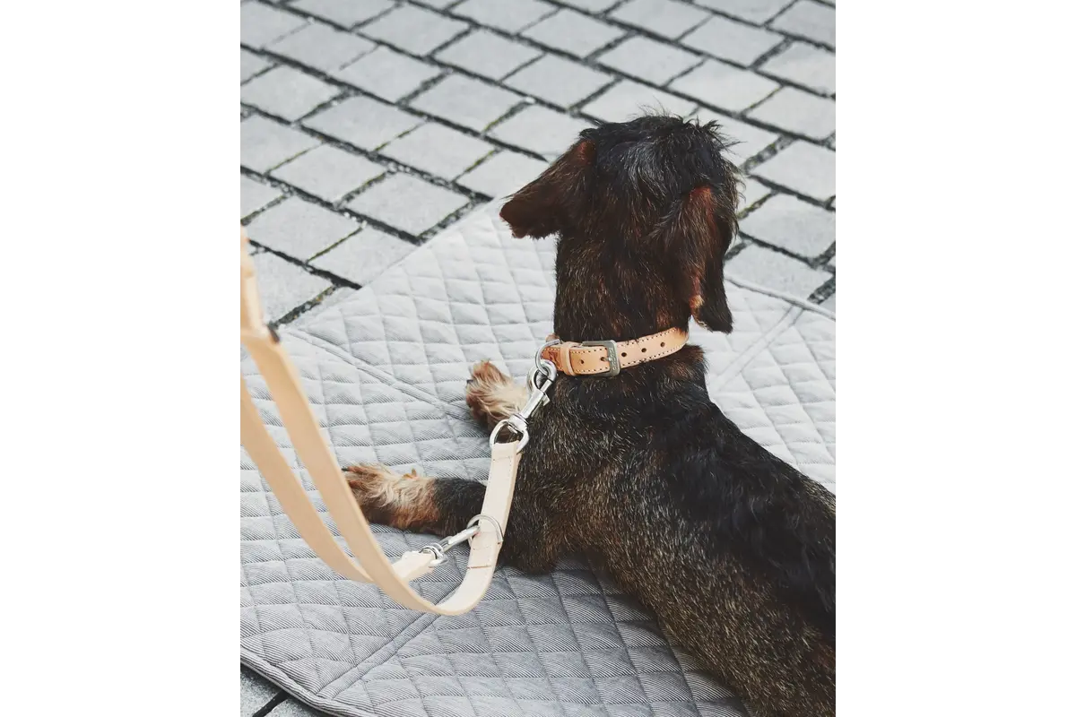 Cane Bergamo long lead, Dog Lead Smooth Leather Natural