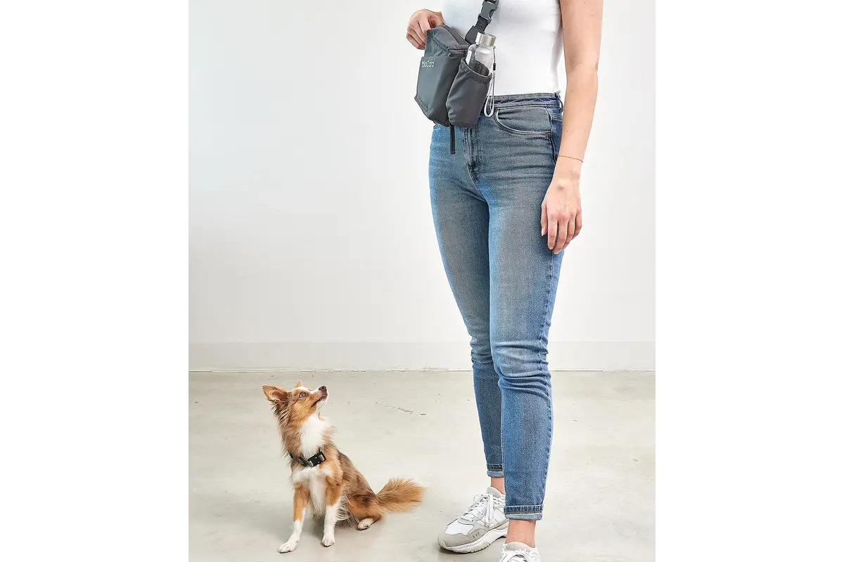 Cane Andiamo, Walking Bag, Asphalt