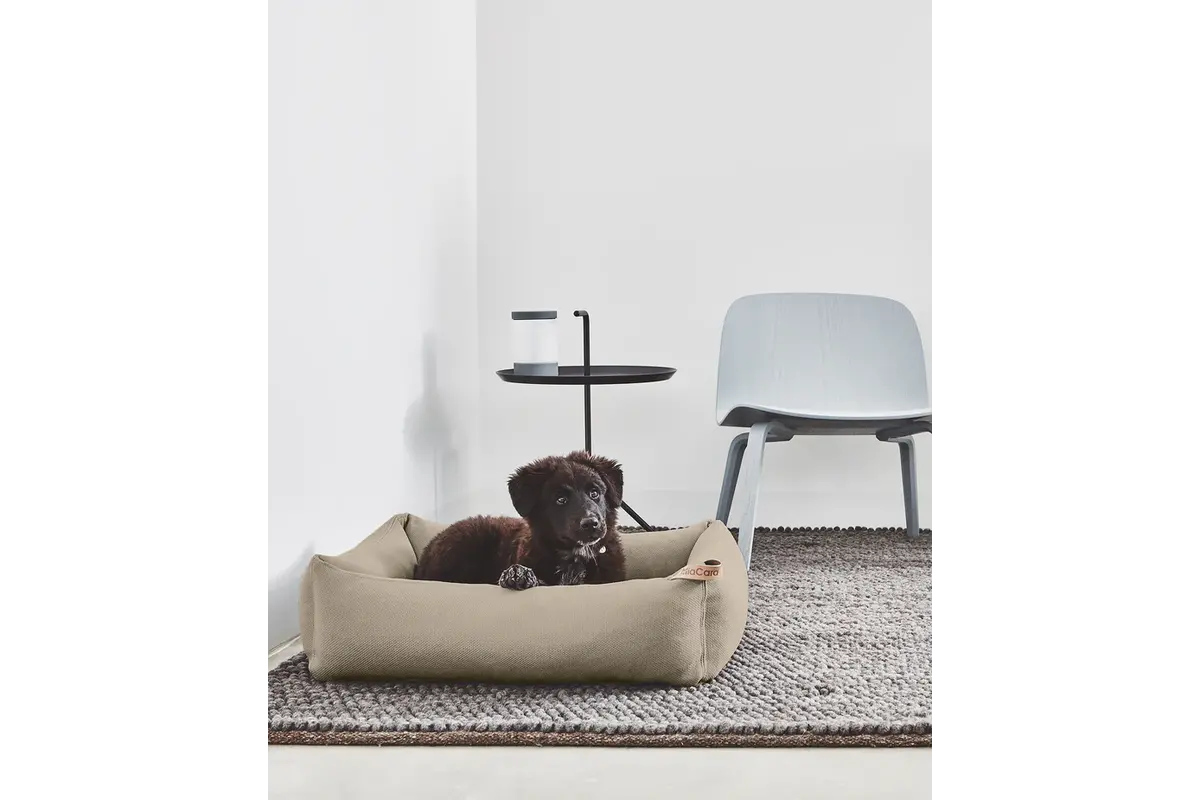 Cane Sonno, Hundebett, Cappuccino