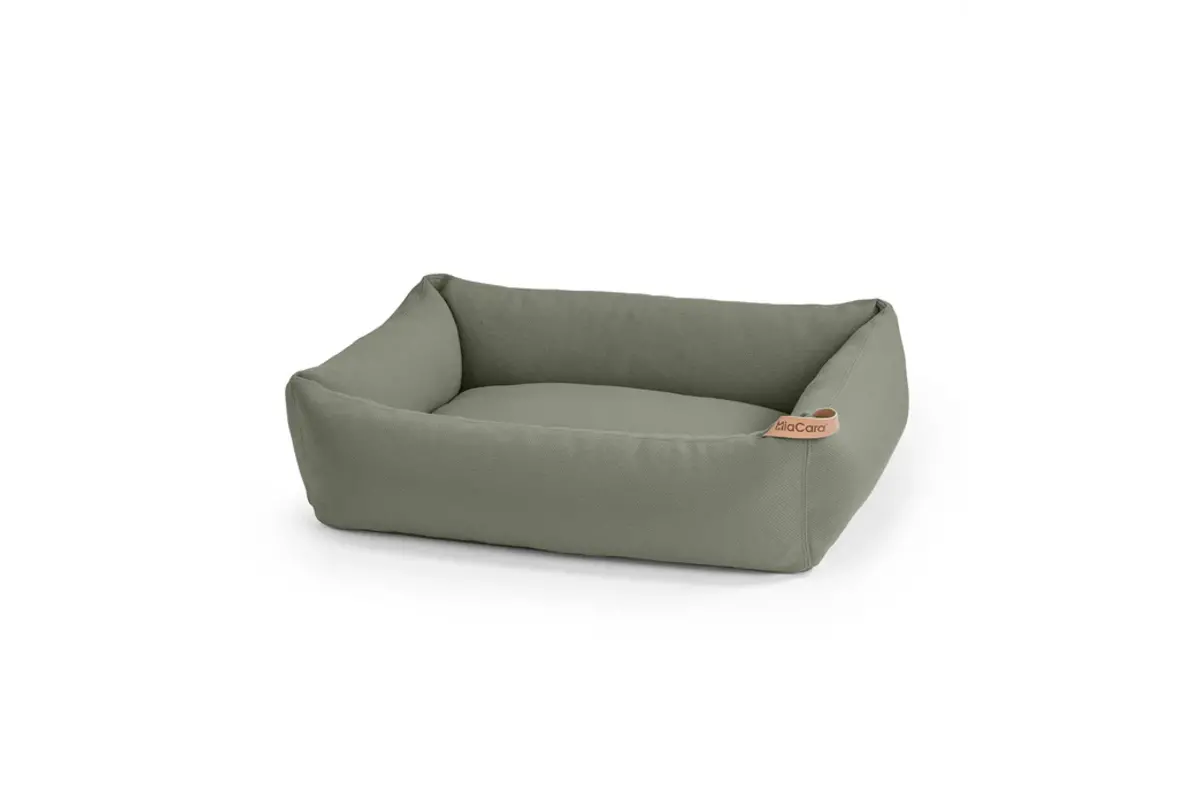 Cane Sonno, Box Bed, Grolive