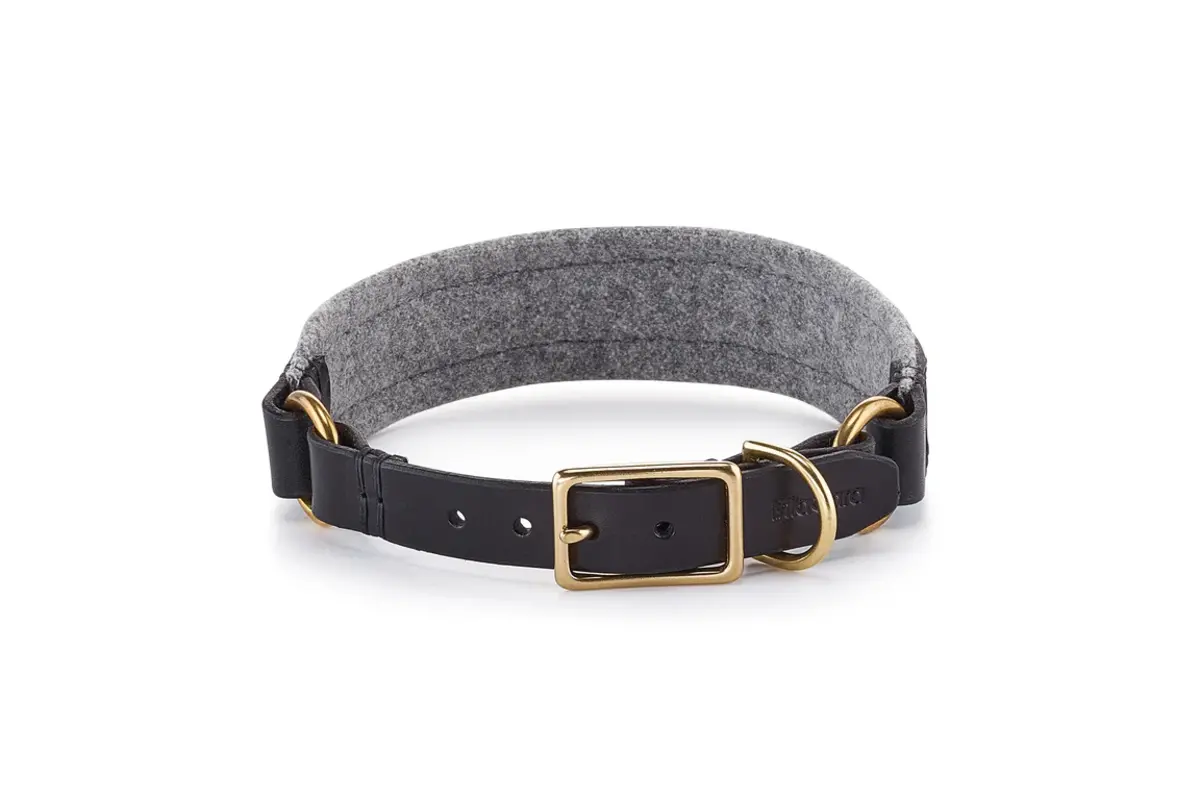 Cane Siena, Kragen, Schwarz/Filz Grau