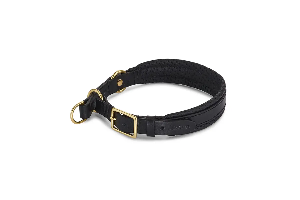 Cane Fano, Halsband, Zwart/Leder Zwart