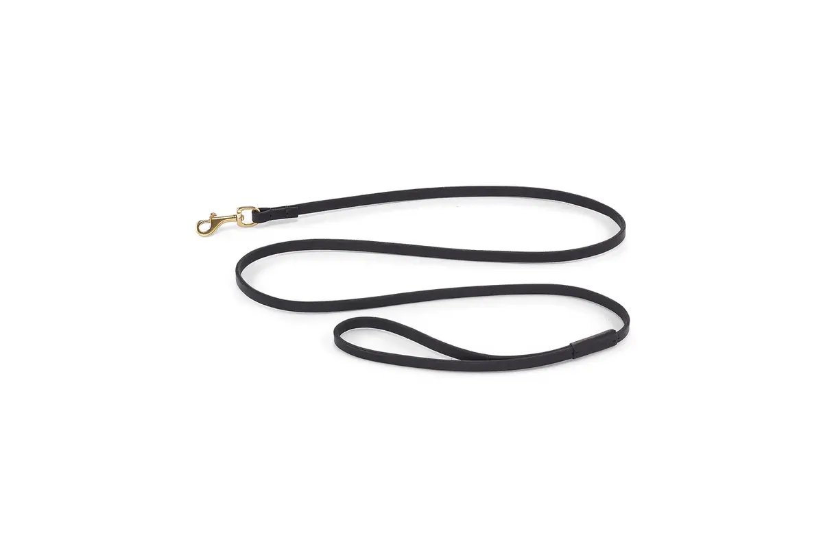 Cane Napoli, Leash, Black