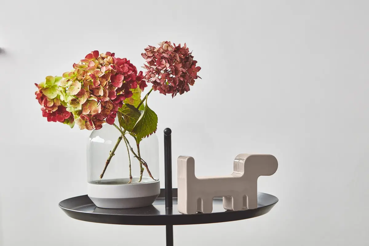 Cane, Decorative Figure, Nougat