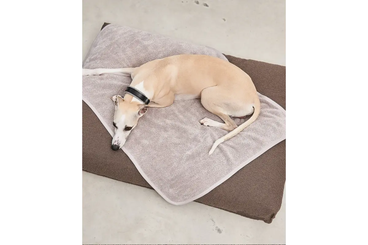 Cane Mero, Hondendeken, Zand