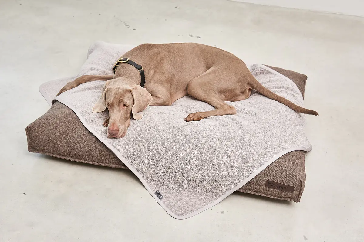Cane Mero, Hondendeken, Zand
