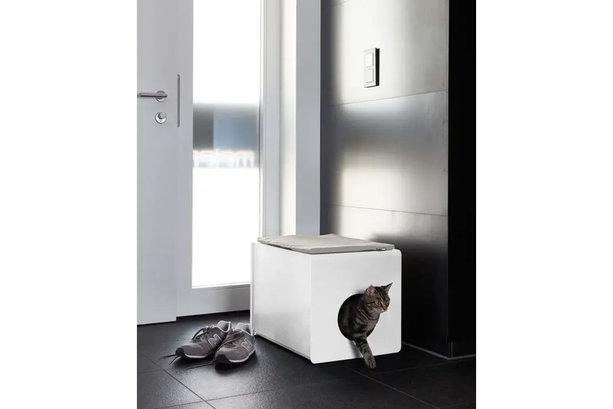 Gatto Sito, Zitkussen, Hennep