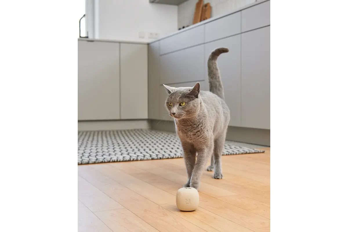 Gatto Rotolo, Beschäftigungsspielzeug, Greige