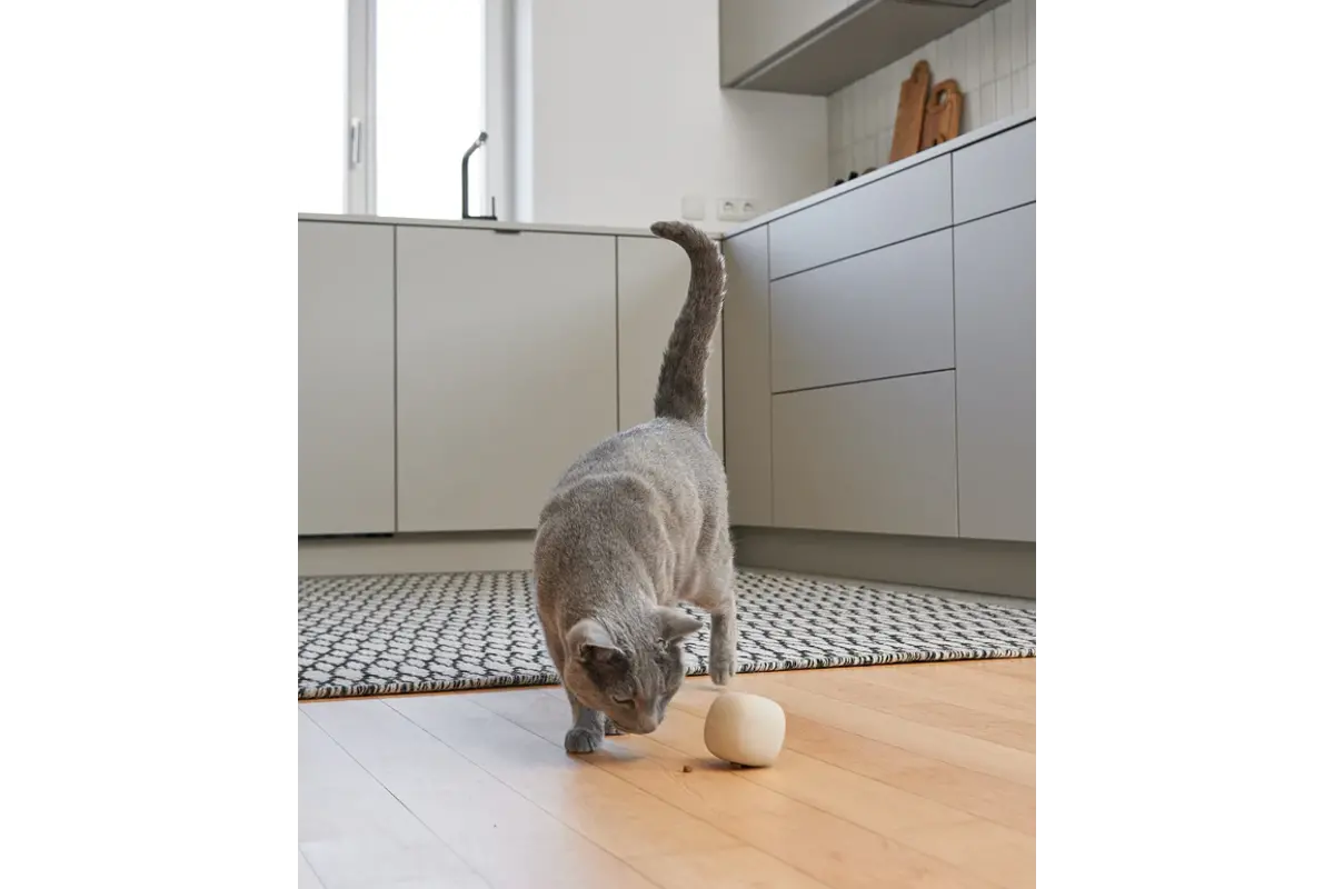 Gatto Rotolo, Beschäftigungsspielzeug, Greige