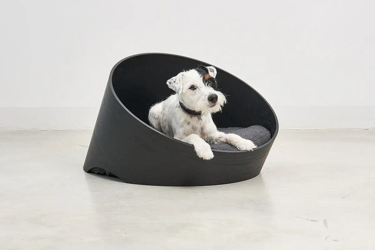 Cane Covo, Hondenmand, Essen Zwart/Anthraciet