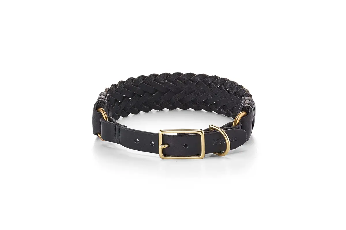 Cane Palermo, Hondenhalsband, Zwart