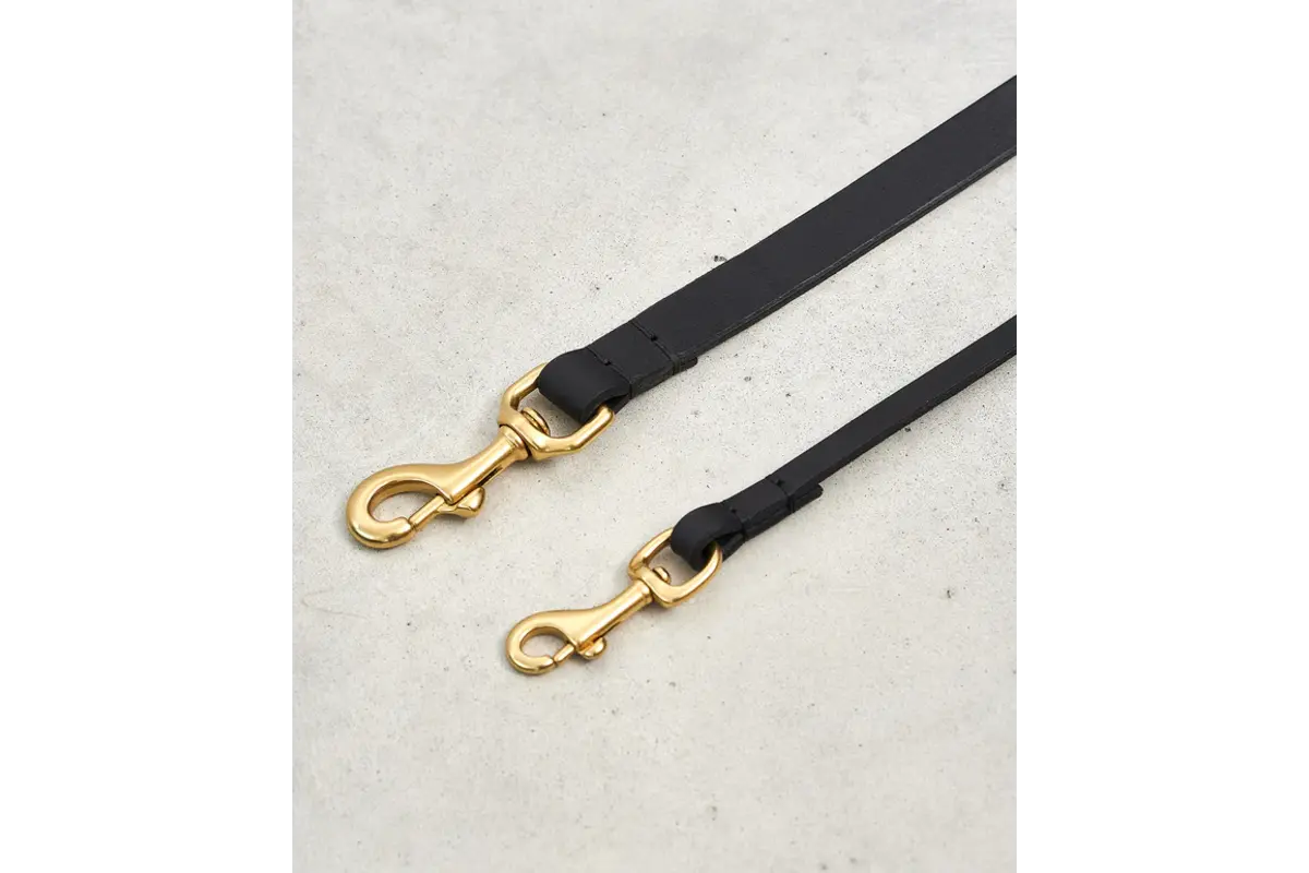 Cane Napoli, Leash, Black