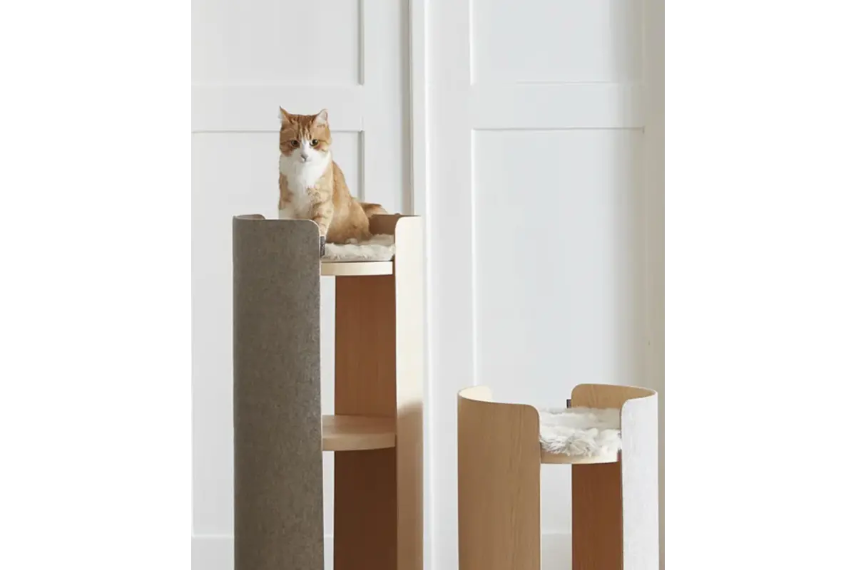 Gatto Torre, Kussen, Gebroken Wit