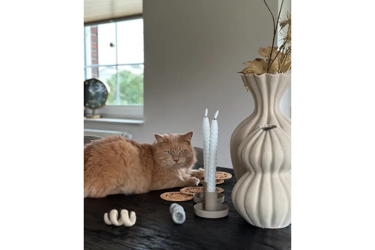 Gatto Spira, Cat Toy, Moon