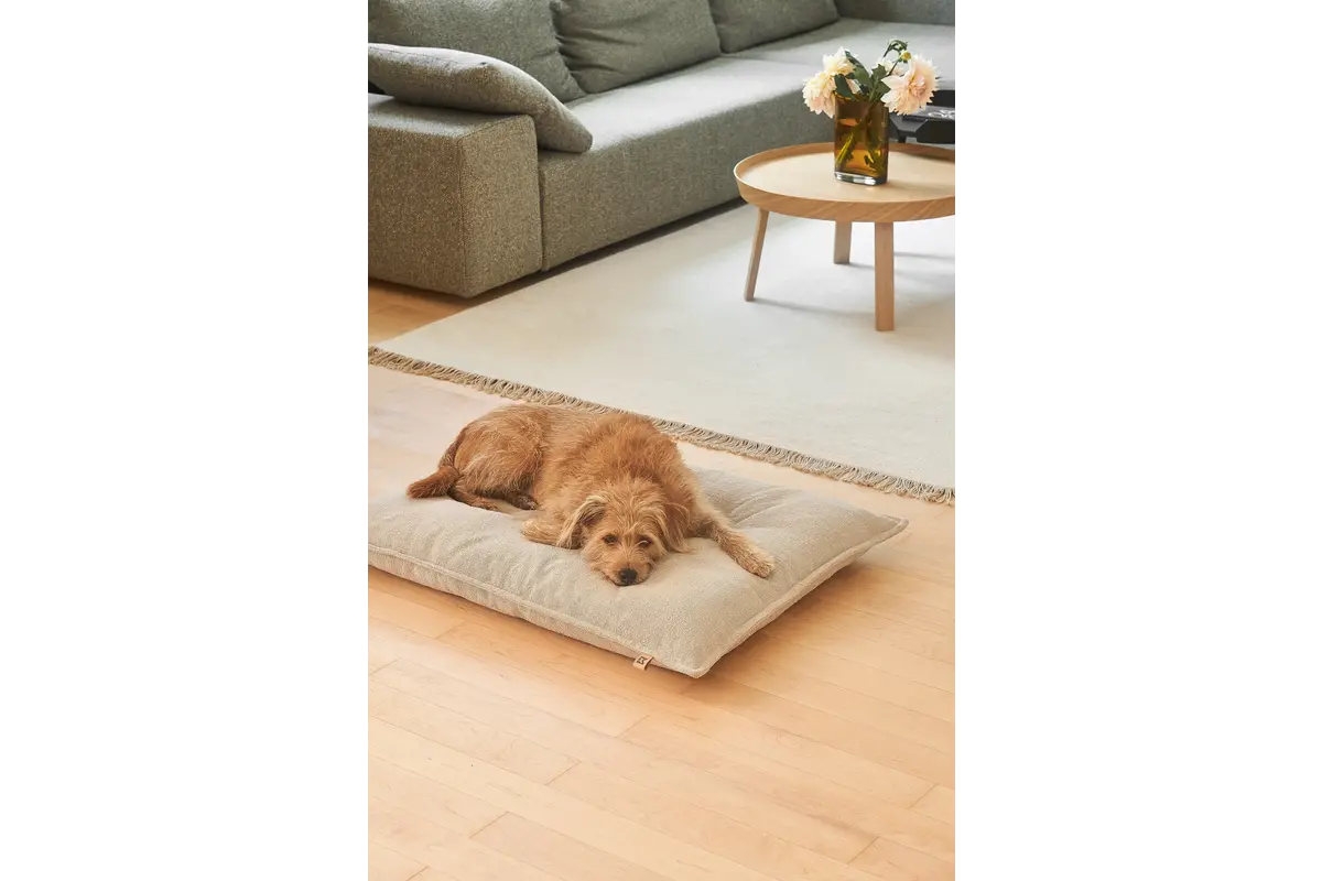 Cane Campo, Hondenkussen, Greige