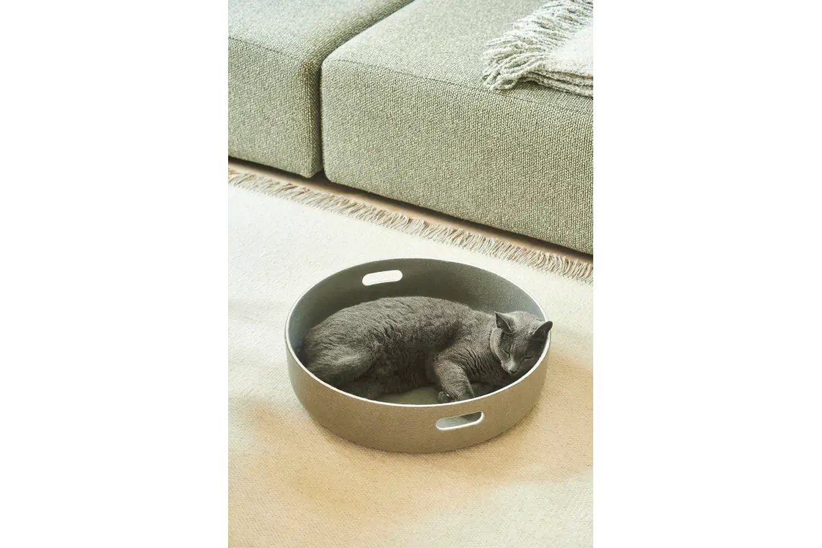 Gatto Cesto, Katzenkorb, Grolive