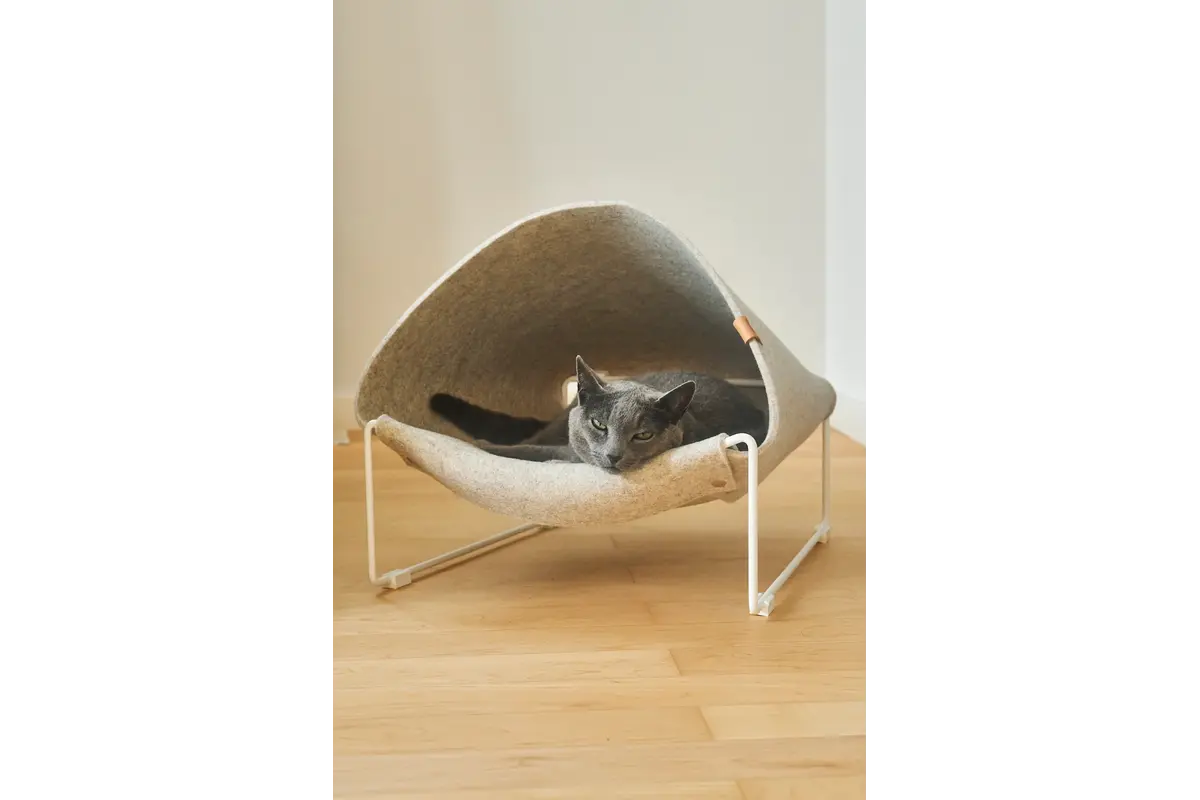 Gatto Loggia, Kattengrot, Wit/Beige