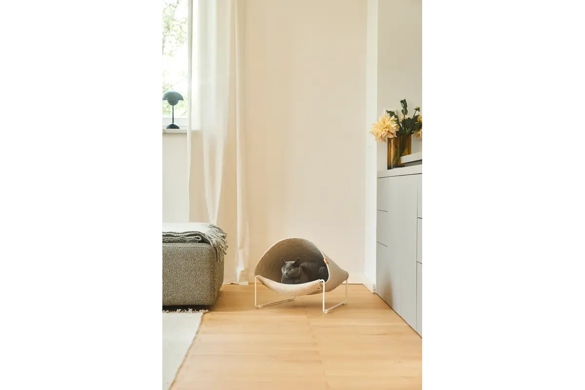 Gatto Loggia, Kattengrot, Wit/Beige