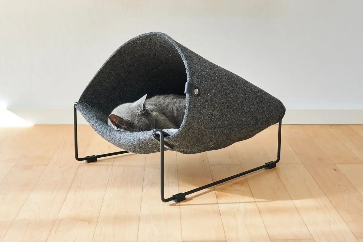 Gatto Loggia, Cat Cave, Black
