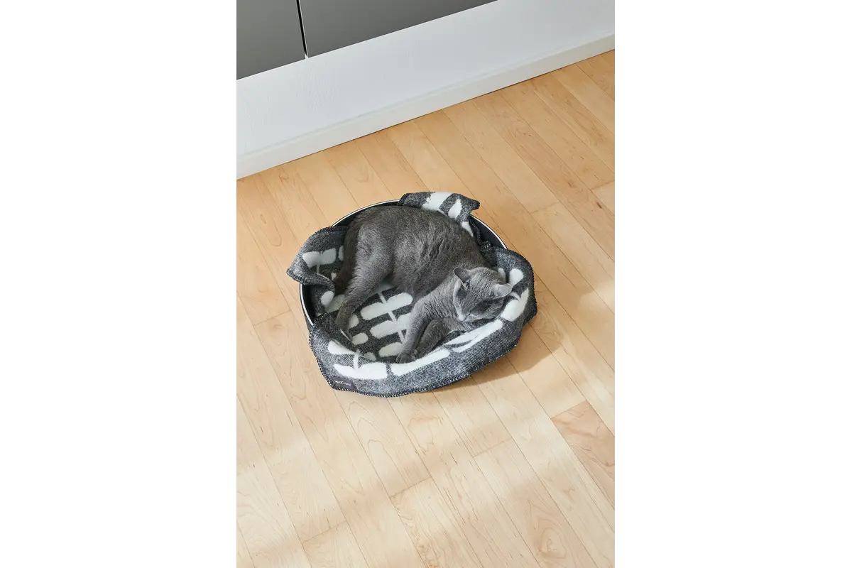 Gatto Flora, Katzendecke, Anthrazit