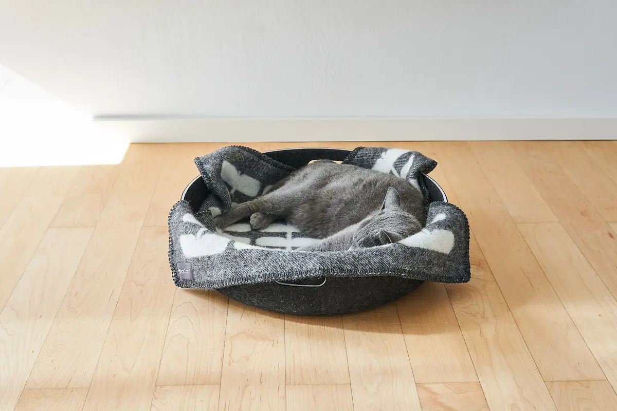 Gatto Flora, Katzendecke, Anthrazit