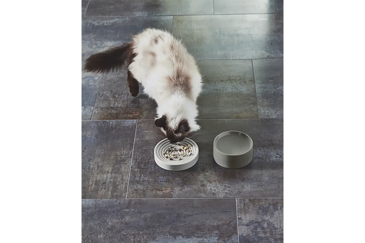 Gatto Piatto, Kattenvoerbak, Beton