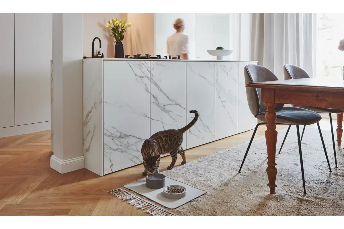 Gatto Fresco, Cat Bowl, Concrete