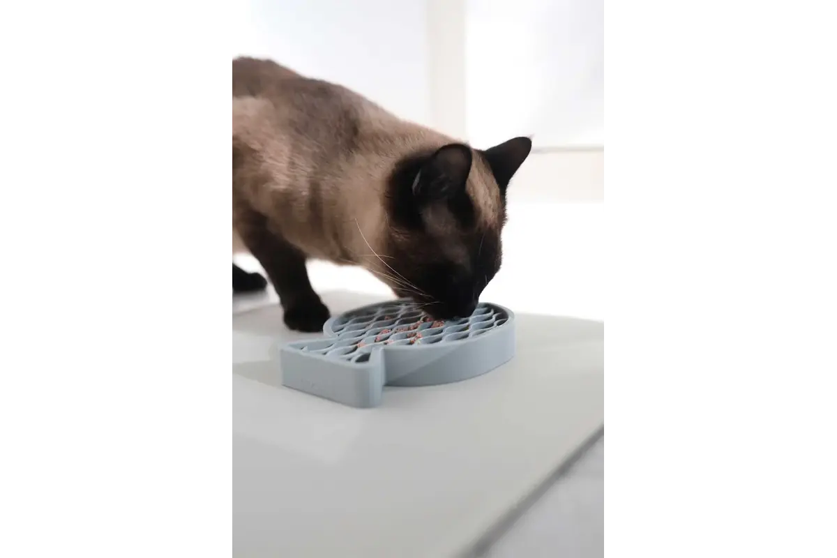 Gatto Pesce, Activity Toy, Slate