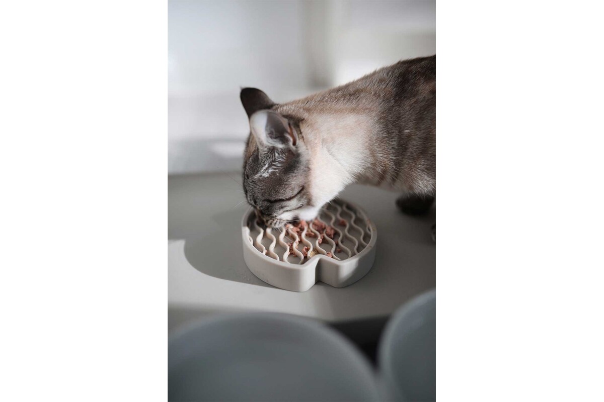 Gatto Pesce, Activiteit Speelgoed, Greige