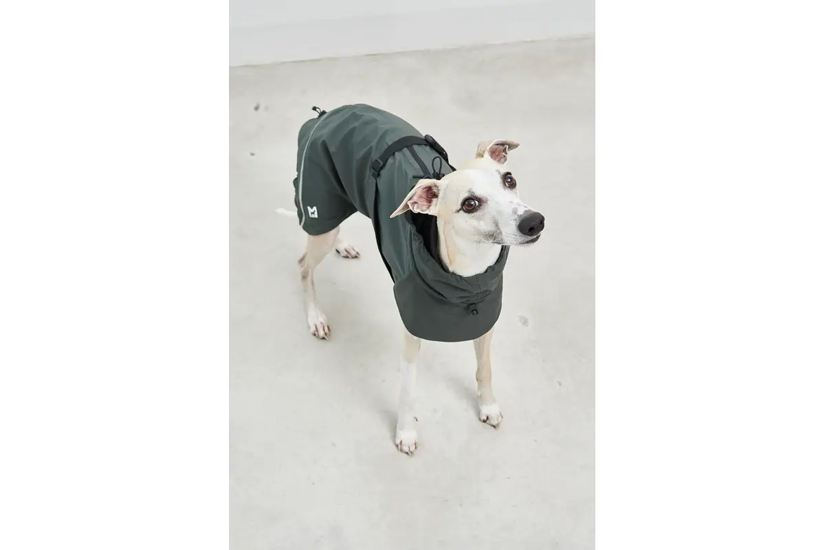 Cane Valentina, Regenjas, Midnight Green