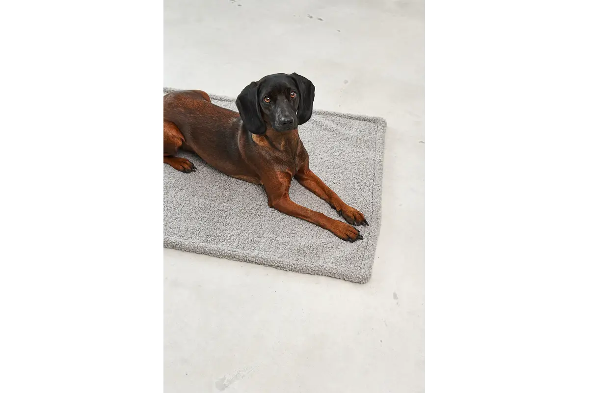 Senso Hundedecke Kiesel / Pebble