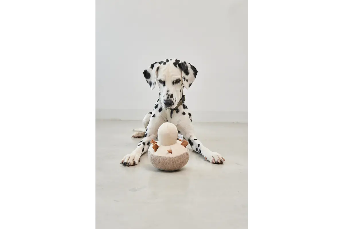 Cane Foresta, Snuffle Toy, Mushroom