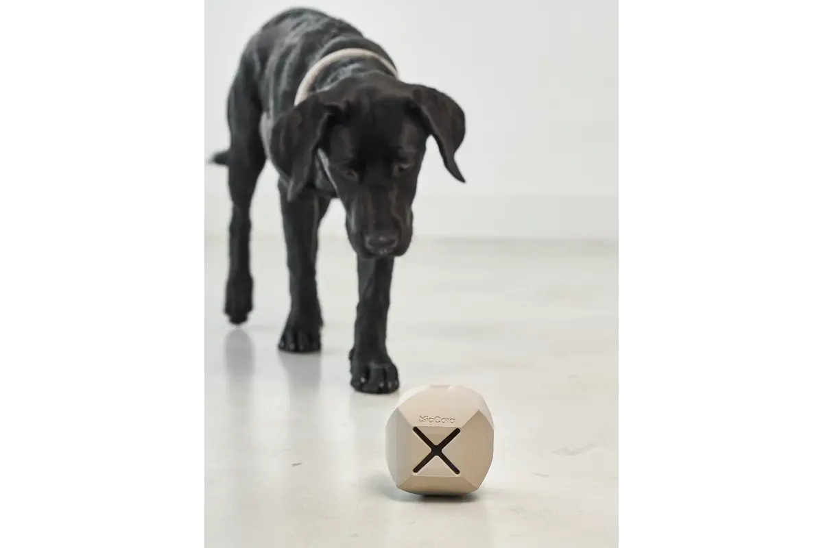 Cane Dado, Beschäftigungsspielzeug, Greige