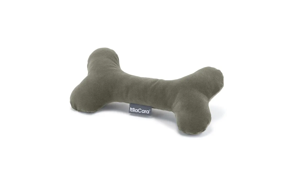 Cane Comodo, Spielknochen, Salbei