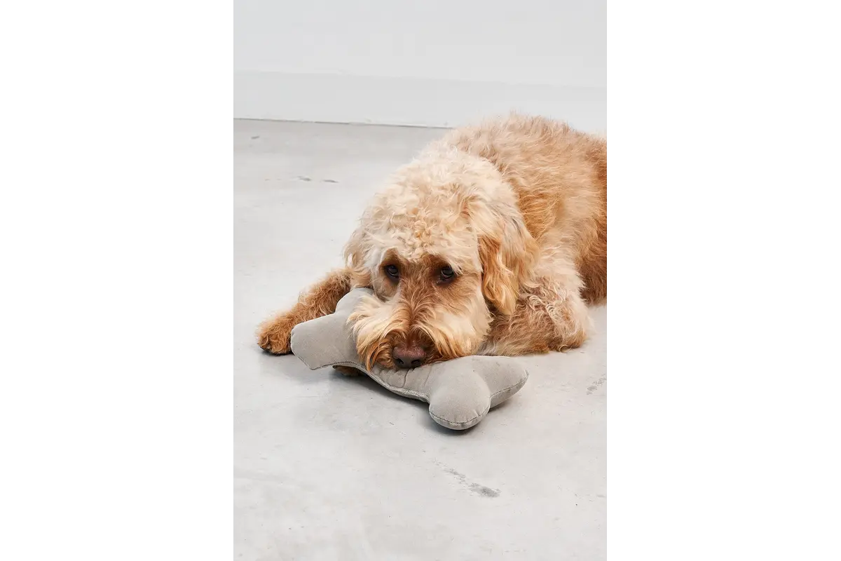 Cane Comodo, Speelgoedbot, Greige