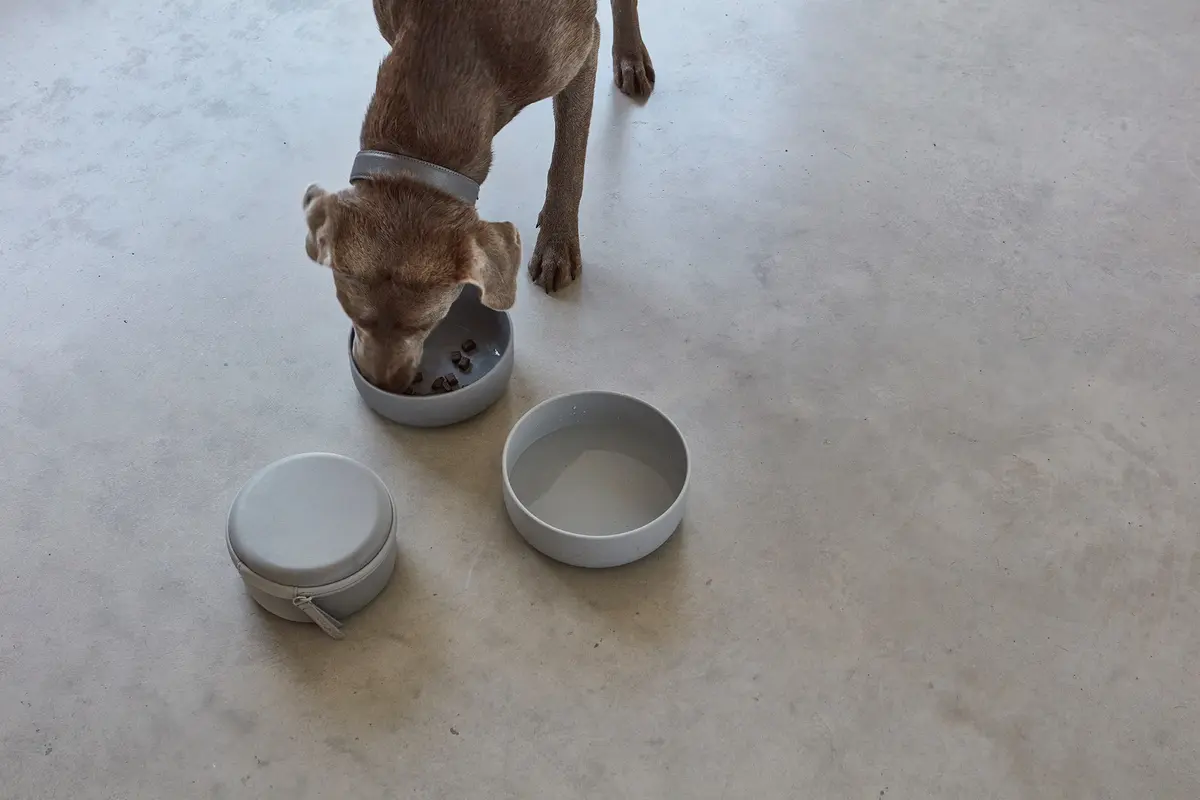 Cane Bento, Reisbakjes & Voercontainer, Beton/Leisteen