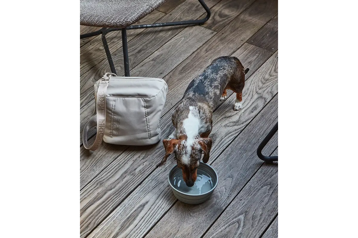 Cane Piega, Foldable Travel Bowl, Slate