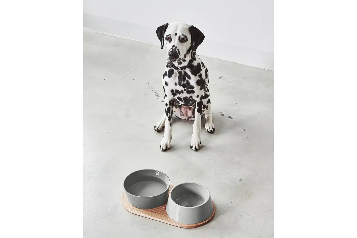 Cane Doppio, Dienblad, Eiken