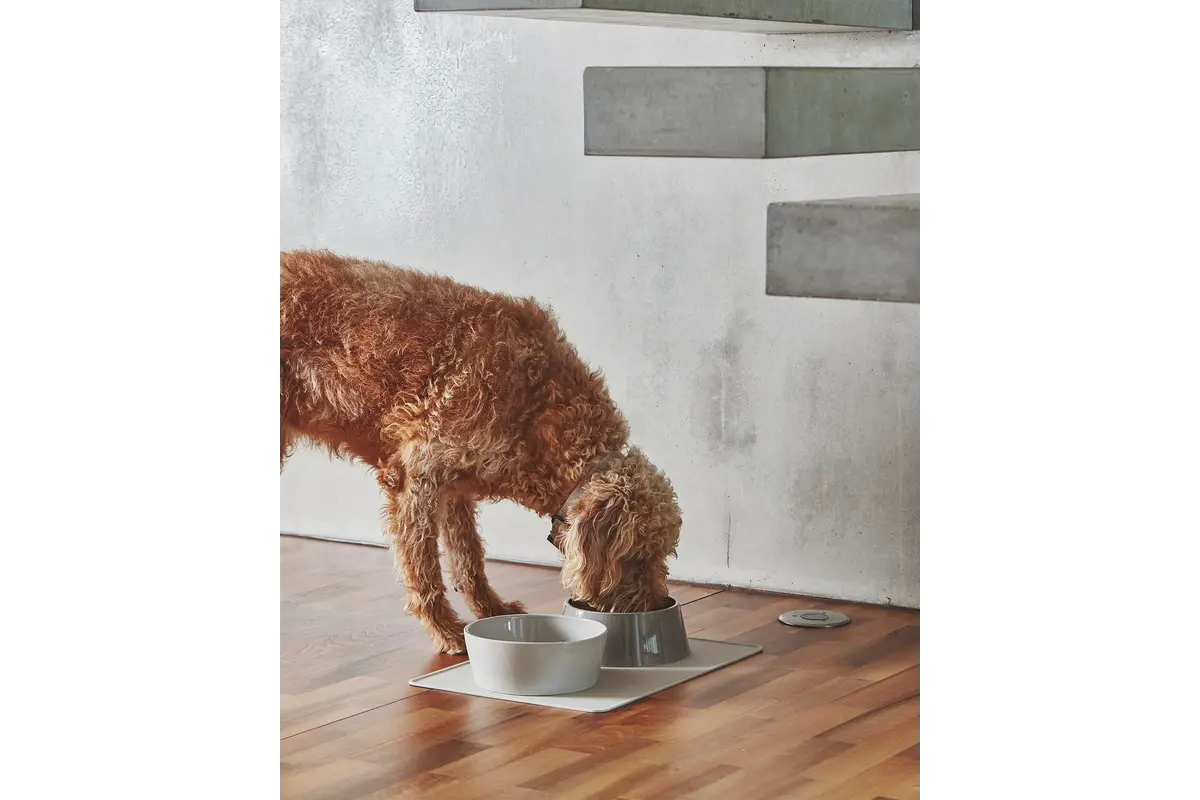 Cane Doppio, Kommenset, Beton